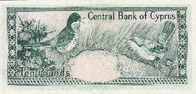 Beschrijving achterzijde: BIRDS